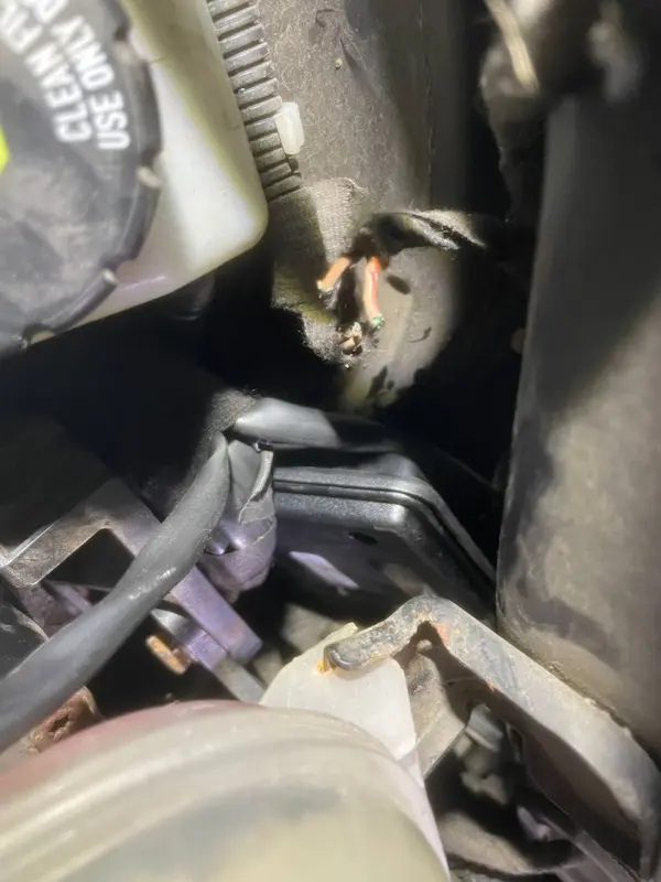 Блок управління ГБО Stag Go Fast на Opel Astra